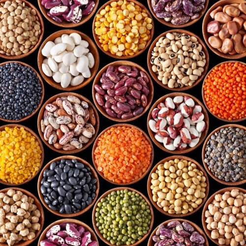 Pulses(Dal)